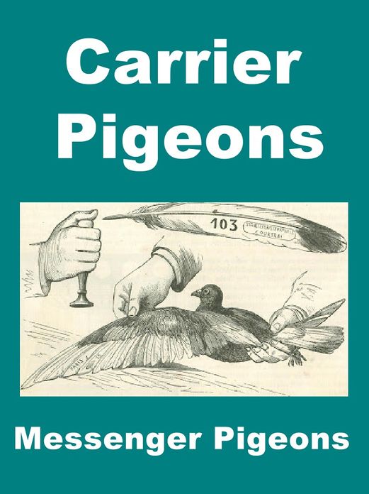 Carrier Pigeons Messenger Pigeons