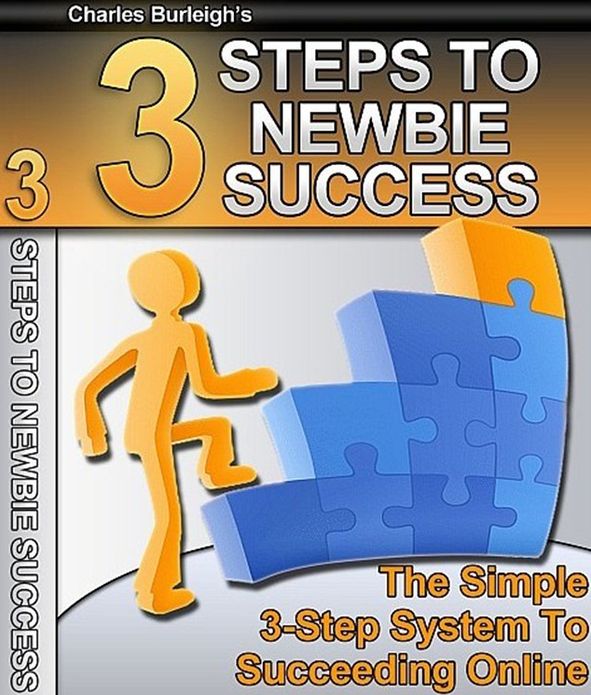 3 Steps To Newbie Success