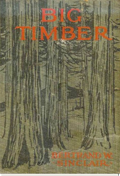 Big Timber