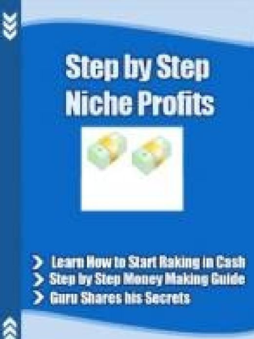 Step By Step Niche Profits