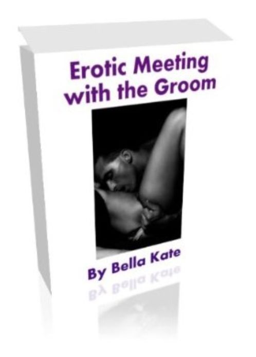 Erotic Meeting with the Groom (#1 in the Sex in the Wedding Series)