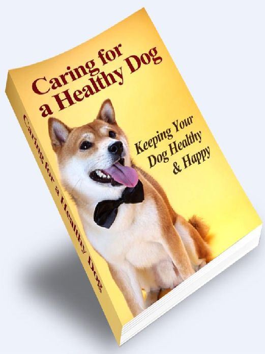 Caring for a Healthy Dog - Keeping Your Dog Healthy & Happy