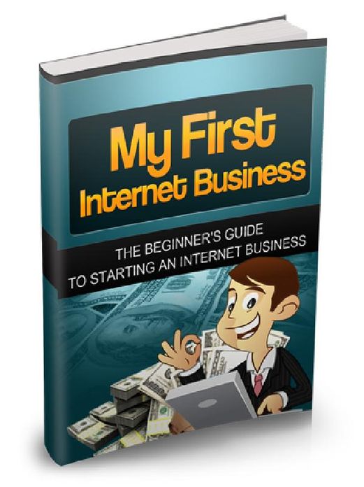 My First Internet Business - The Beginner’s Guide To Starting AN Internet Business
