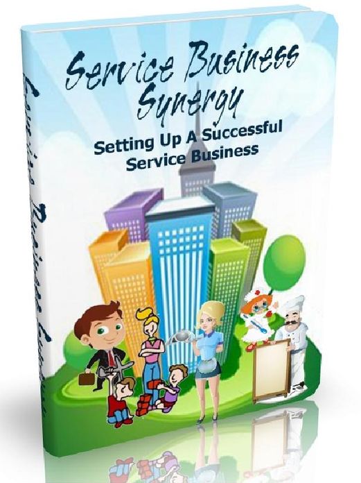 Service Business Synergy - Setting Up A Successful Service Business