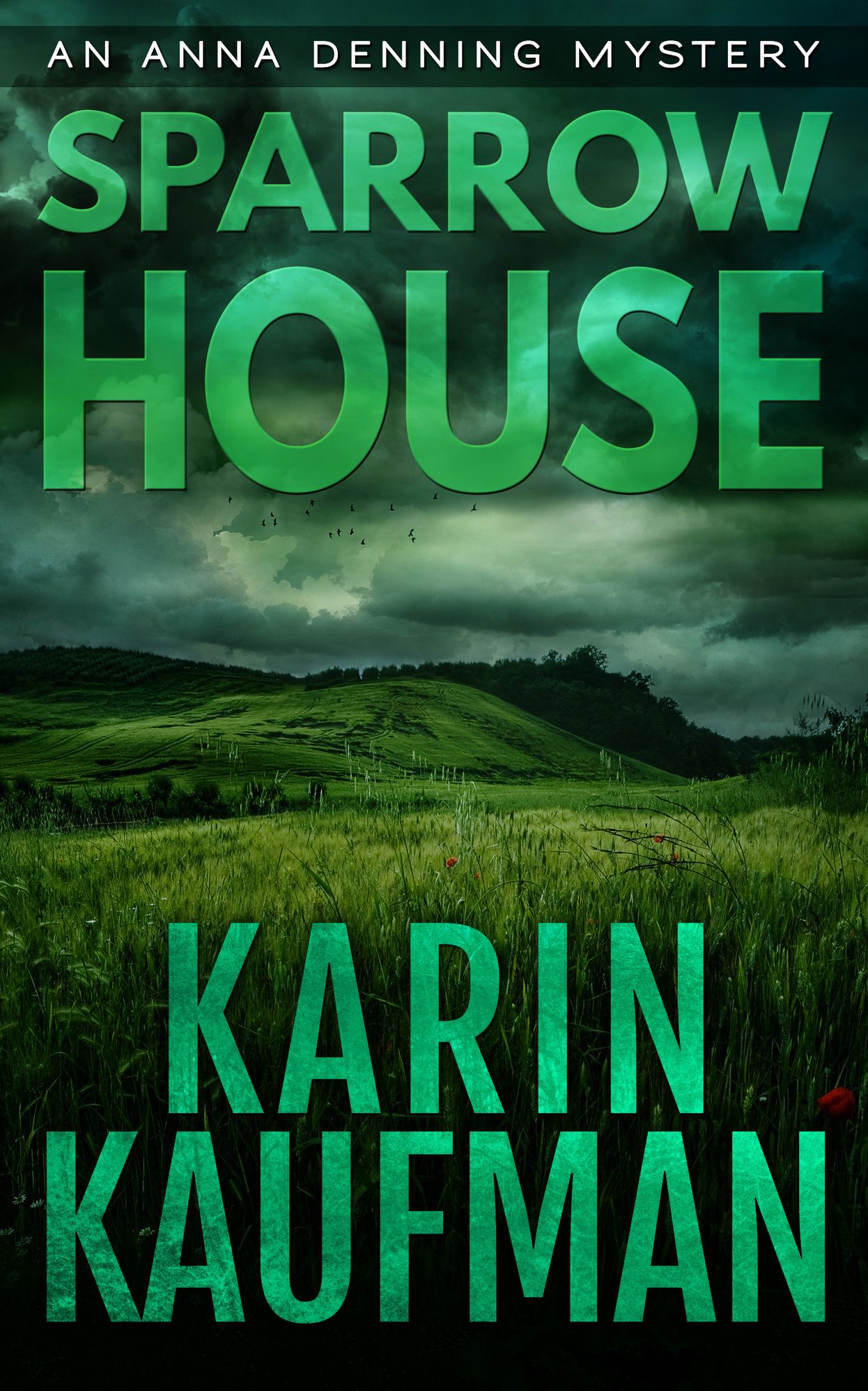 Sparrow House (Anna Denning Mystery #2)