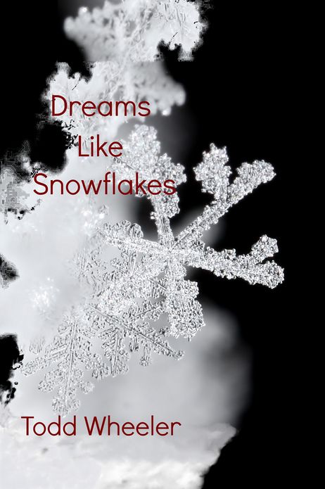 Dreams Like Snowflakes