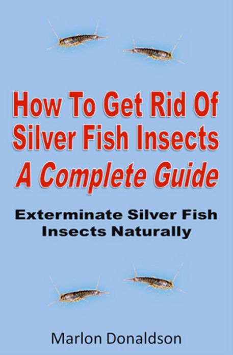 How To Get Rid Of Silver Fish Insects : A Complete Guide Exterminate Silver Fish Insects Naturally