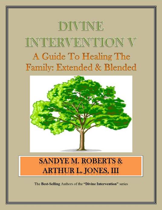 Divine Intervention V - A Guide To Healing The Family: Extended & Blended