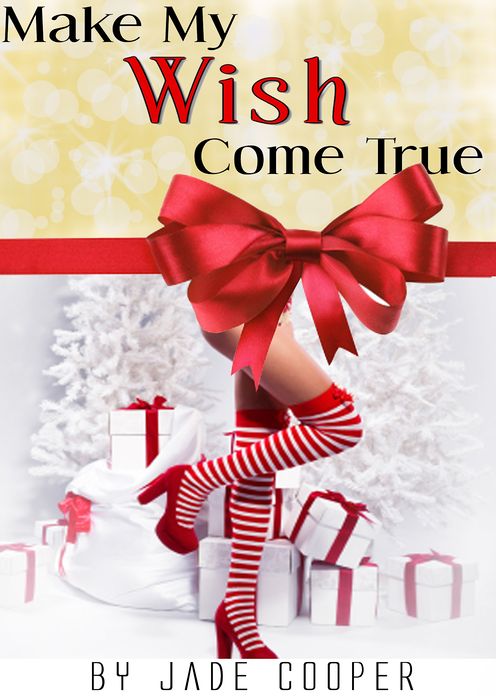 Make My Wish Come True; A Christmas Romance