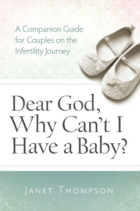 Dear God, Why Can't I Have a Baby: A Companion Guide for Women on the Infertility Journey