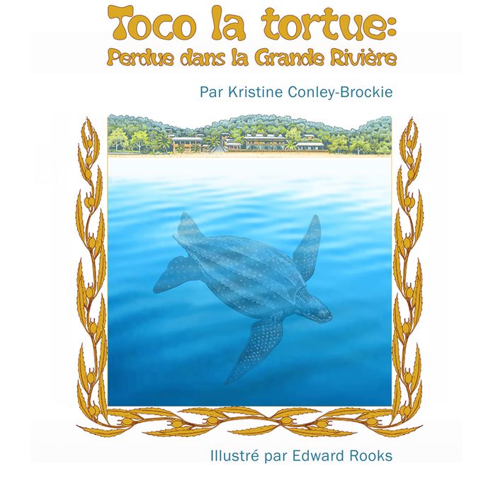 Toco la tortue : Perdue dans la Grande Rivi&egrave;re