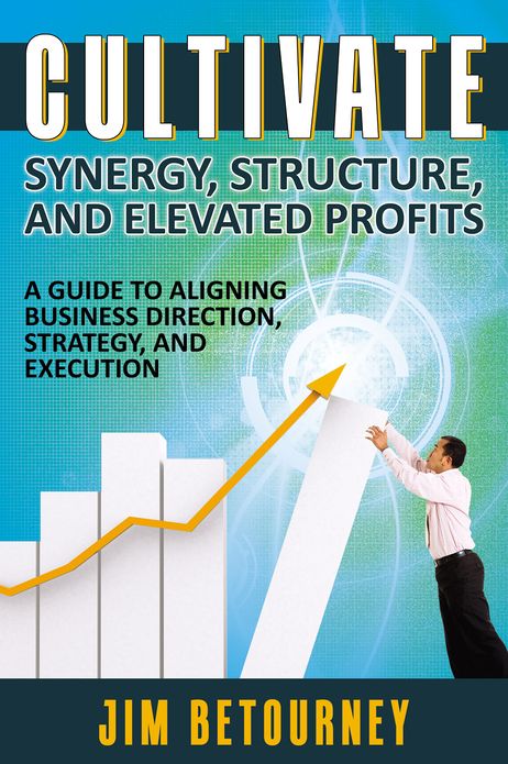 Cultivate Synergy, Structure, and Elevated Profits: A Guide to Aligning Business Direction, Strategy, and Execution