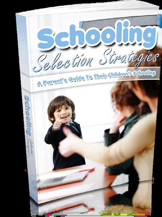 Schooling Selection Strategie