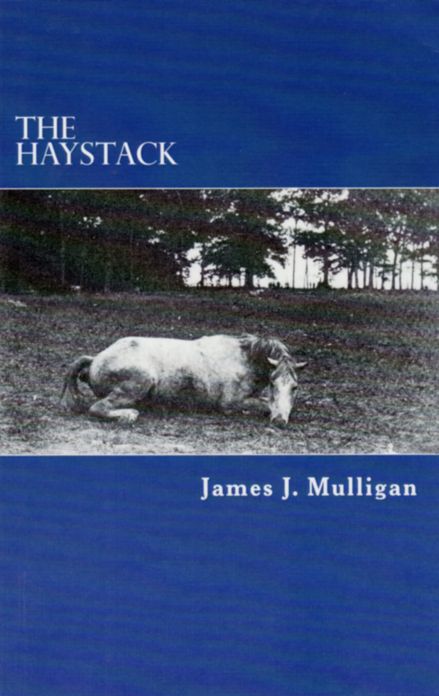 The Haystack: A Novel