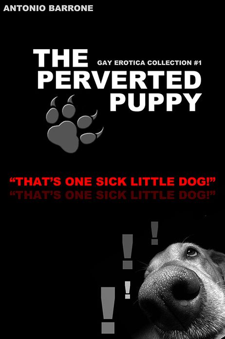 The Perveted Puppy Ultimate Gay Erotica - Collection #1 26 Hot Stories!