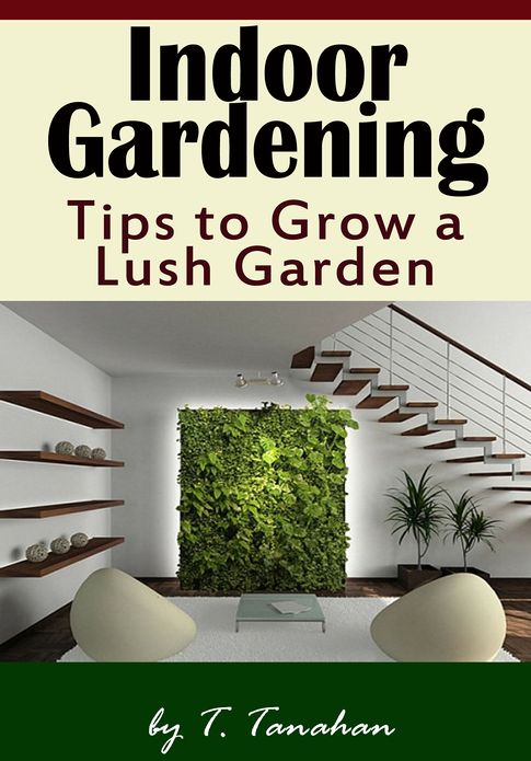 Indoor Gardening - Tips to Grow a Lush Garden