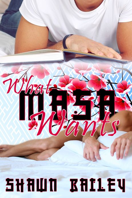 What Masa Wants