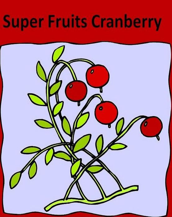 eBook on Discover the Health Benefits of Cranberries - Ten Ways to Incorporate Cranberries into Your Daily Route,,,,(Secrest to Cranberries eBook)