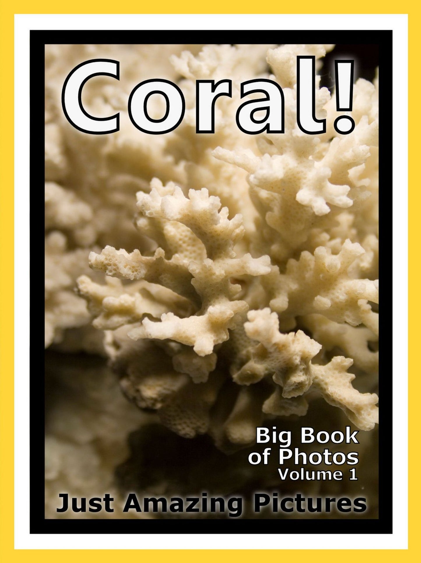 Just Coral Photos! Big Book of Photographs & Pictures of Underwater Sea Coral, Vol. 1