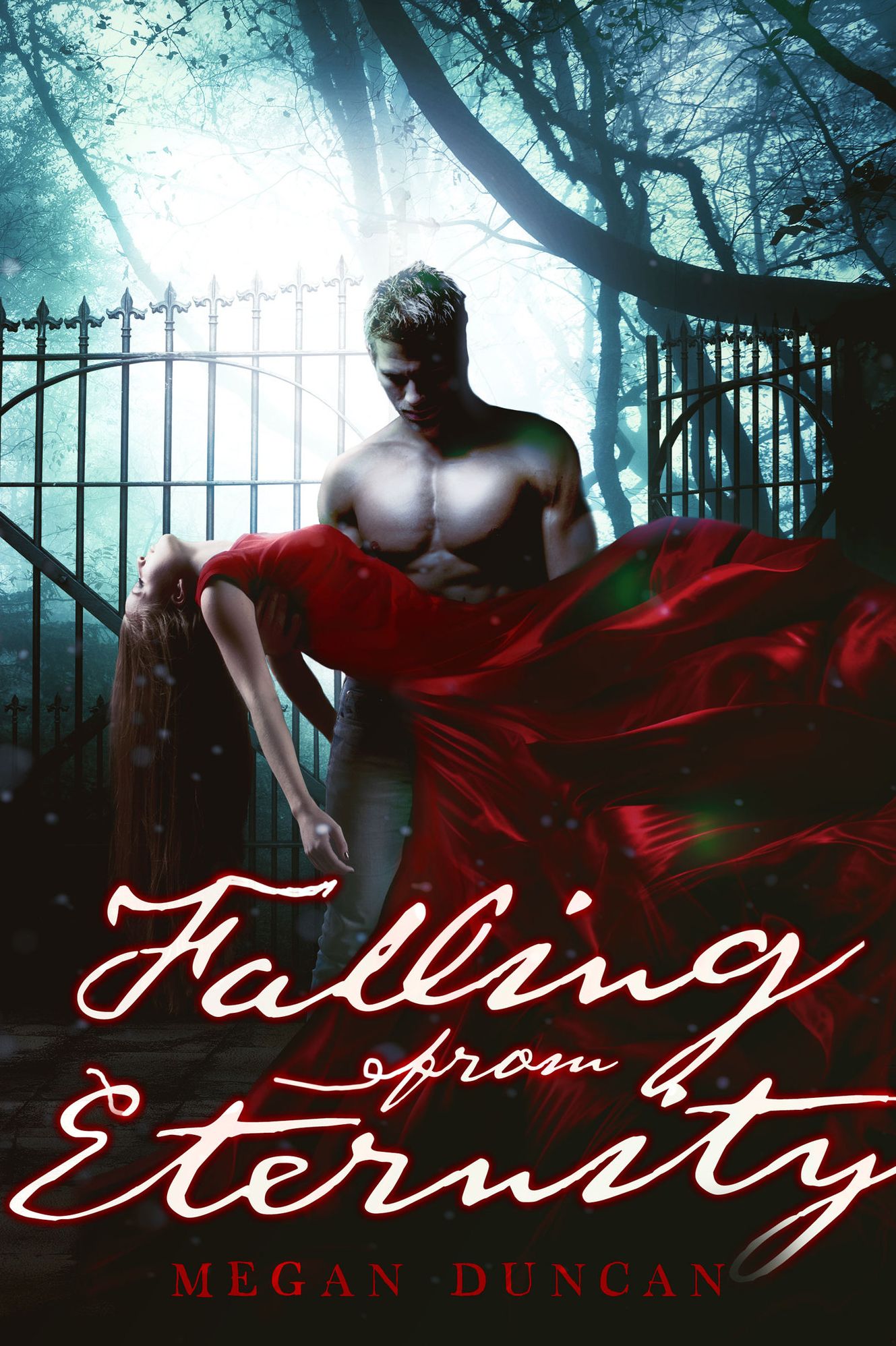 Falling From Eternity (A Paranormal Love Story)