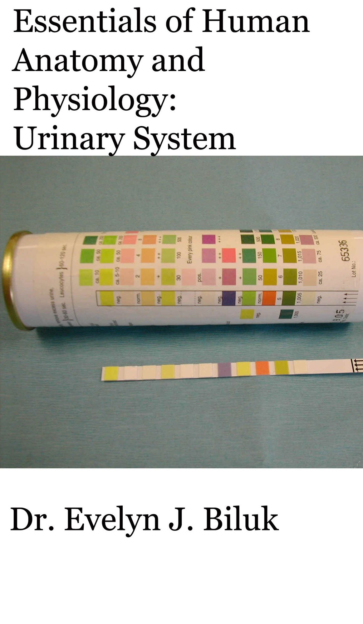 Essentials of Human Anatomy and Physiology: Urinary System