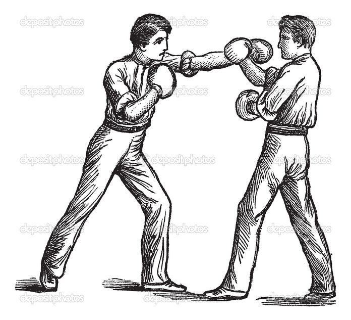 The BEGINNER’S Guide to Boxing
