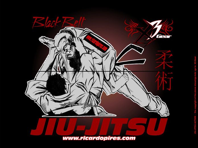 The Beginner And Advanced Guide to Jiu Jitsu