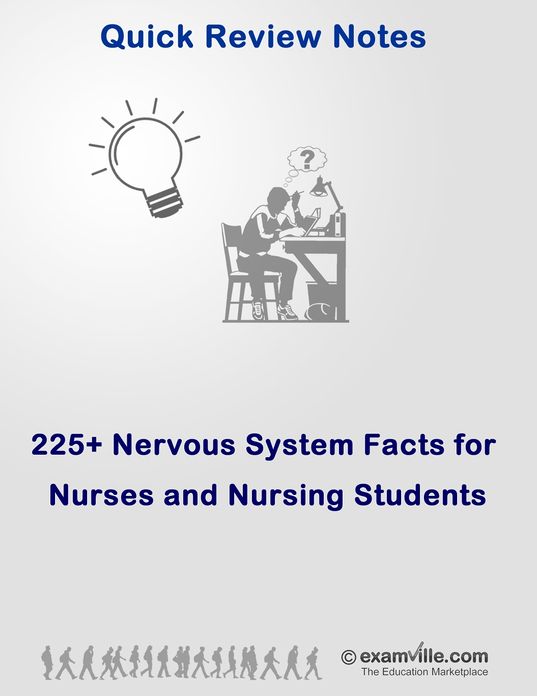 225+ Nervous System Facts You Need To Know (for Medical and Nursing Students)