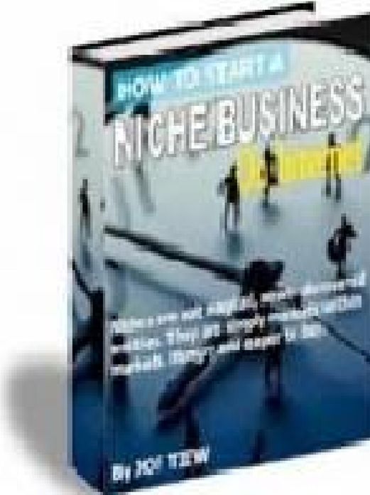 How to Start A Niche Business On Internet