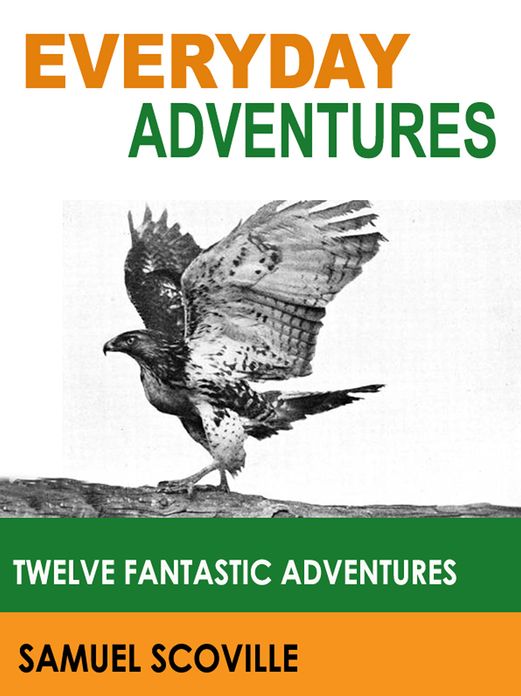 Everyday Adventures: Twelve Fantastic Adventures (Illustrated)