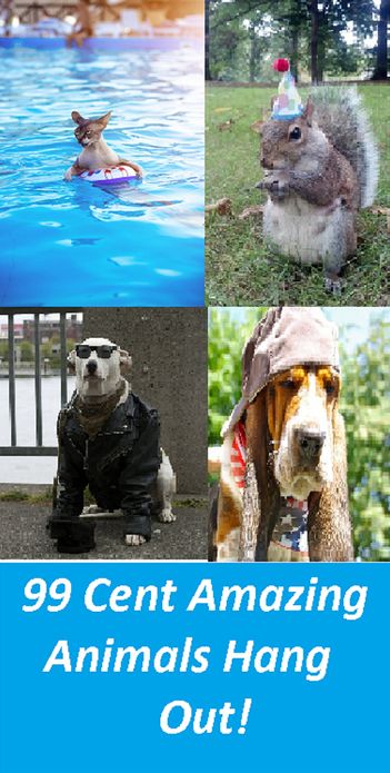 99 Cent Amzing Animals Hang Out! (Penguin, wolf, natural world, panda, duck, swan, crow, pig, horse, pony, cow, sheep. eel, cat, dog, wildlife, nature, tiger, lion, bear, shark, elephant, bird, fish, ecology, kids, children)