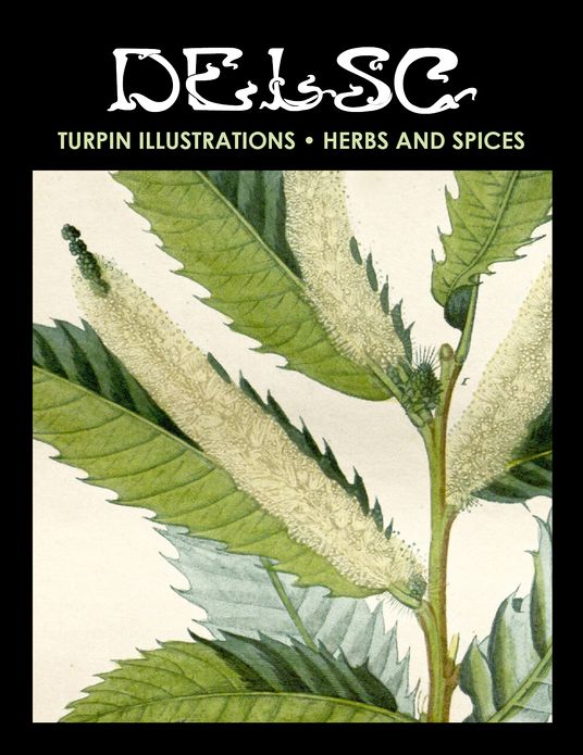 Turpin Illustrations • Herbs and Spices