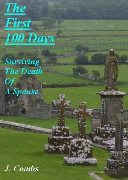 The First 100 Days - How To Survive The Death Of A Loved One