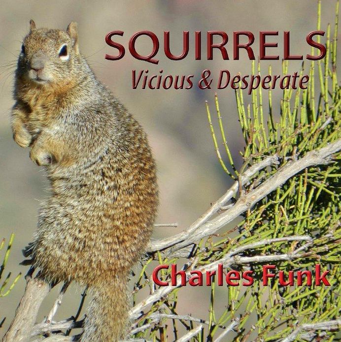 Squirrels, Vicious & Desperate