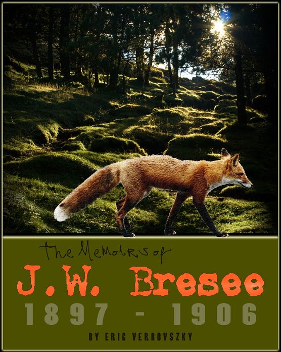 The Memoirs of J.W. Bresee: 1897-1906