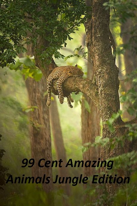 Animals: 99 Cent Amazing Animals Jungle Edition (Penguin, wolf, natural world, panda, duck, swan, crow, pig, horse, pony, cow, sheep. eel, cat, dog, wildlife, nature, tiger, lion, bear, shark, elephant, bird, fish, ecology, kids, children)