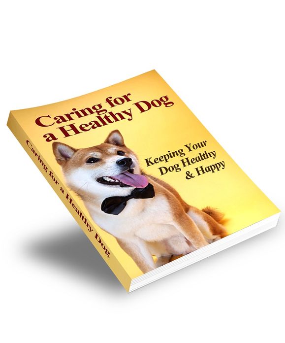 Caring For a Healthy Dog