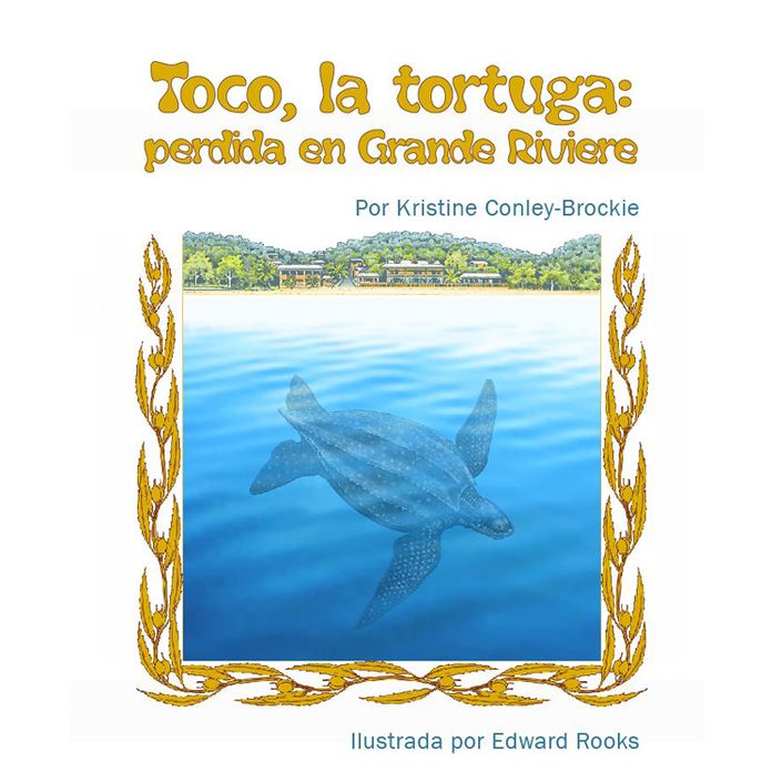 Toco, la tortuga: perdida en Grande Riviere
