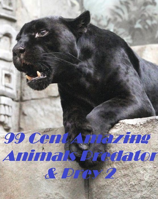 Animals: 99 Cent Amazing Animals Predator & Prey 2 (Penguin, wolf, natural world, panda, duck, swan, crow, pig, horse, pony, cow, sheep. eel, cat, dog, wildlife, nature, tiger, lion, bear, shark, elephant, bird, fish, ecology, kids, children)