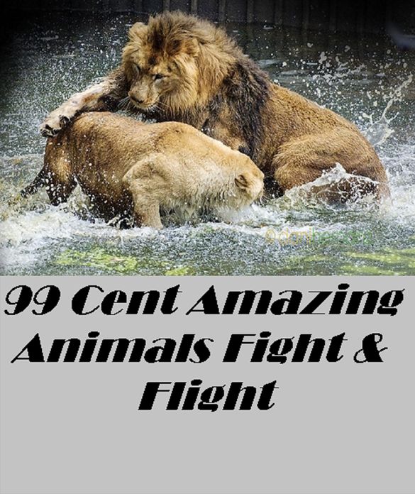 Animals: 99 Cent Amazing Animals Fight or Flight Great for Kids and Adults Highly Recommended! (Penguin, wolf, natural world, panda, duck, swan, crow, pig, horse, pony, cow, sheep. eel, cat, dog, wildlife, nature, tiger, lion, bear, shark, elephant, bird
