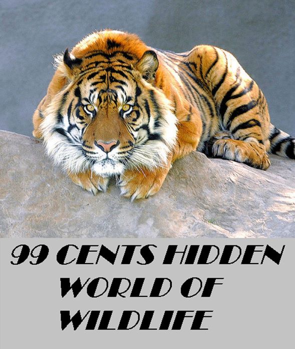 Animals: 99 Cent Hidden World of Wildlife