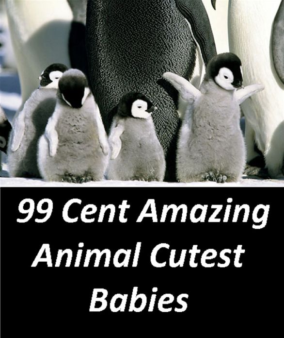 Children's Nonfiction: Children's Nonfiction: 99 Cent Amazing Animal Cutest Babies (Penguin, cat, dog, wildlife, nature, tiger, lion, bear, shark, elephant, bird, fish, ecology, kids, children)