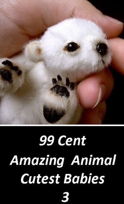 Children's Nonfiction: 99 Cent Amazing Animal Cutest Babies 3 (Penguin, wolf, natural world, panda, duck, swan, crow, pig, horse, pony, cow, sheep. eel, cat, dog, wildlife, nature, tiger, lion, bear, shark, elephant, bird, fish, ecology, kids, children)