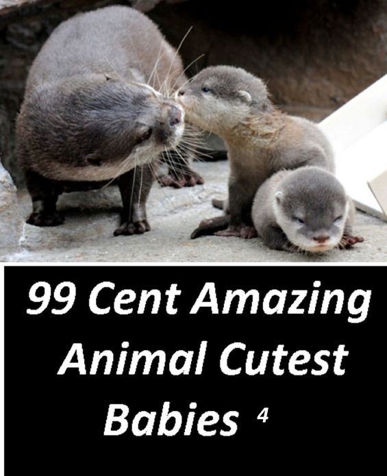 Children's Nonfiction: 99 Cent Amazing Animal Cutest Babies 4