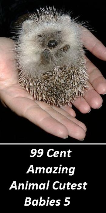 Children's Nonfiction: 99 Cent Amazing Animal Cutest Babies 5 (Penguin, wolf, natural world, panda, duck, swan, crow, pig, horse, pony, cow, sheep. eel, cat, dog, wildlife, nature, tiger, lion, bear, shark, elephant, bird, fish, ecology, kids, children)