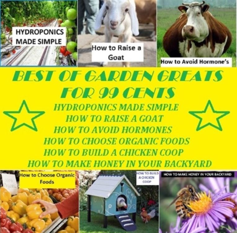Best of Garden and Home Greats for 99 Cents (Hydroponics Made Simple, How to Raise a Goat, How to Avoid Hormones, How to Choose Organic Foods, How to Build a Chicken Coop, How to Make Honey in Your BackYard )