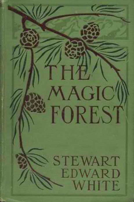 THE MAGIC FOREST, A Modern Fairy Story