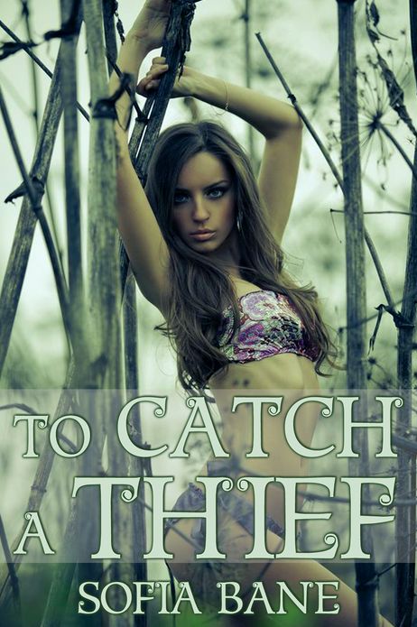 To Catch a Thief (M/F Reluctant Sex, Humiliation)