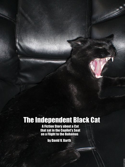 The Independent Black Cat