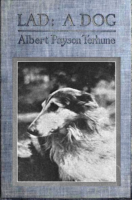 Lad: A Dog by Albert Payson Terhune